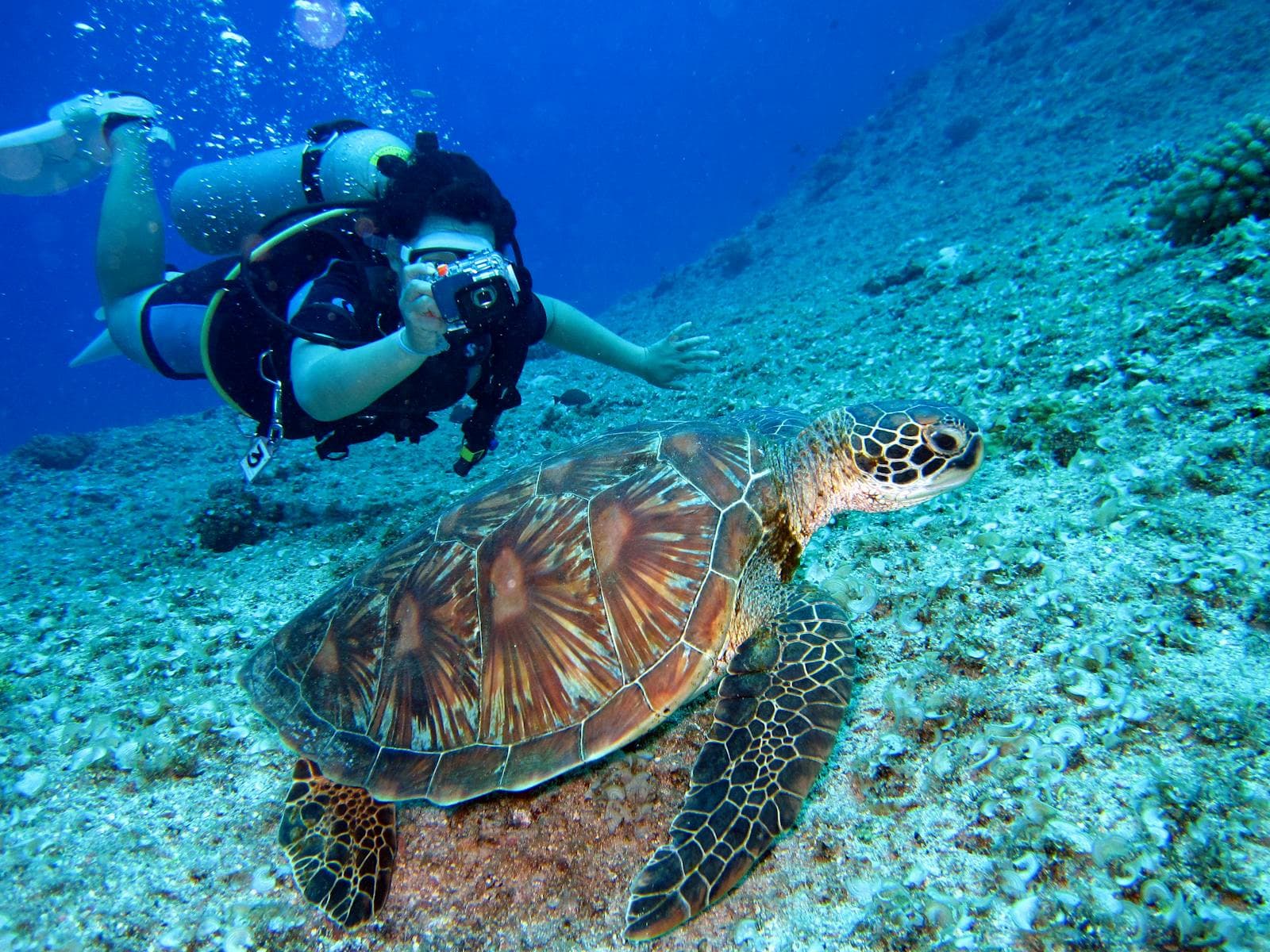 Why We Built DivePass